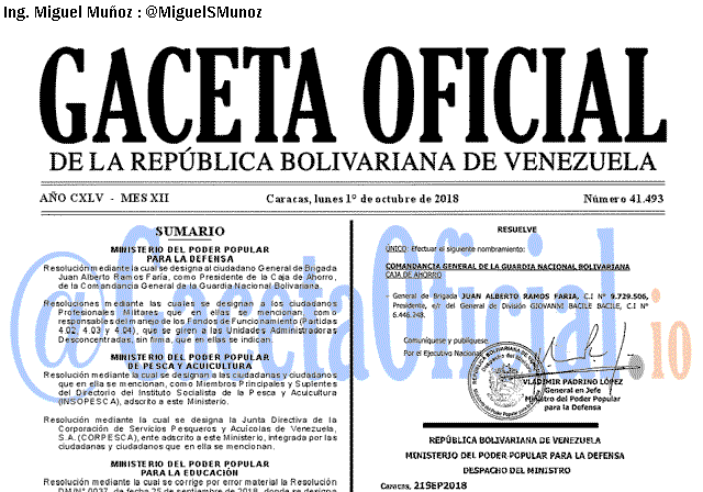 Gaceta Oficial 41493 del 1 Octubre 2018