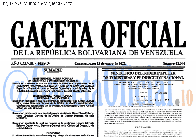 Gaceta Oficial 42044 del 11 Enero 2021
