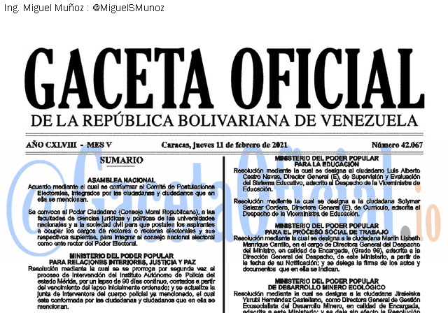 Gaceta Oficial 42067 del 11 febrero 2021