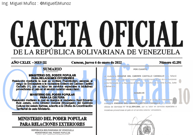 Gaceta Oficial 42291 del 6 enero 2022