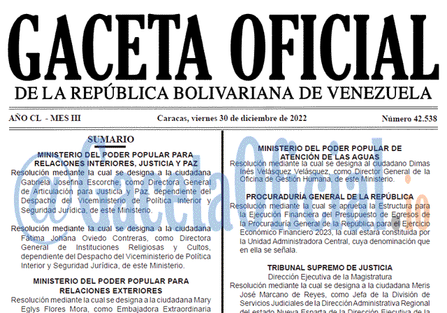 Gaceta Oficial, Gaceta 42538, Gaceta #42538, Gaceta Oficial Venezuela #42538